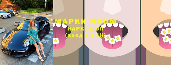 сатива Зерноград