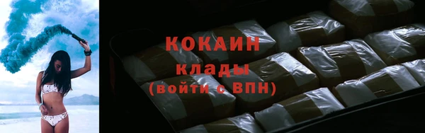 сатива Зерноград