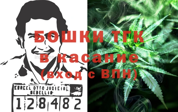 прущие грибы Зеленокумск