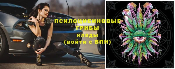 метадон Зеленодольск
