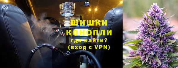 сатива Зерноград