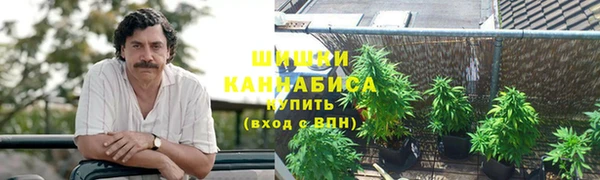 прущие грибы Зеленокумск