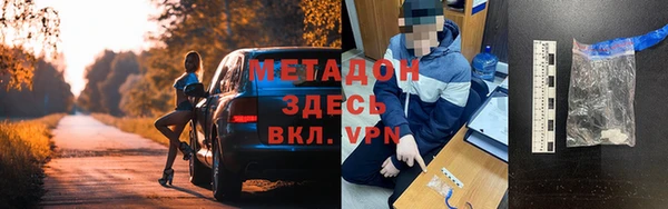 прущие грибы Зеленокумск