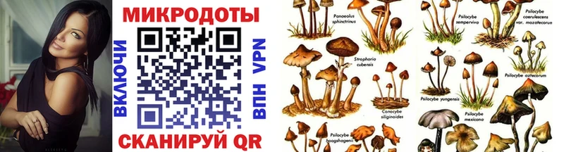 Псилоцибиновые грибы MAGIC MUSHROOMS  Купить где  Игарка 